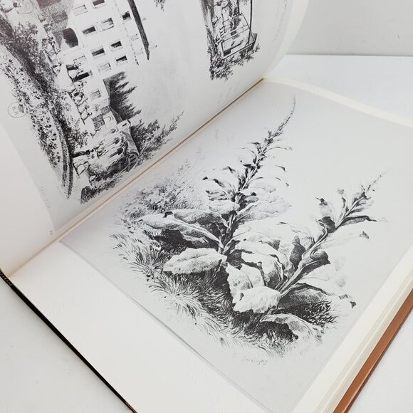 Graphic Art Pre-Impressionists by Melot, Abrams 1981 HCDJ Book Fully Illustrated - Picture 9 of 11